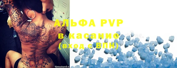 гашик Пересвет