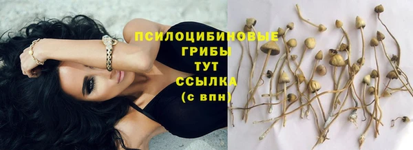 ГАЛЛЮЦИНОГЕННЫЕ ГРИБЫ Абинск