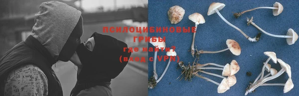 гашик Пересвет