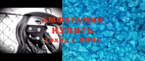 гашик Пересвет