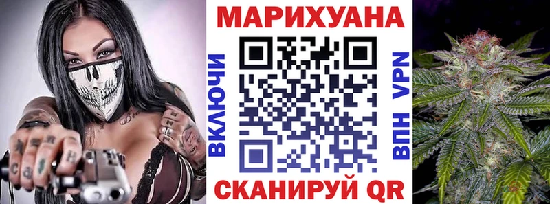 Канабис White Widow  Суздаль 